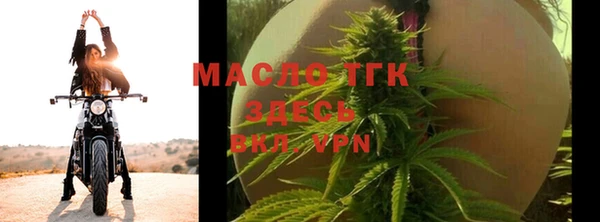 прущие грибы Верея