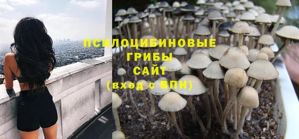 хмурый Волосово