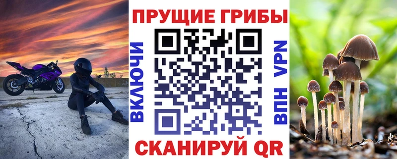 Галлюциногенные грибы прущие грибы  магазин    Тбилисская 