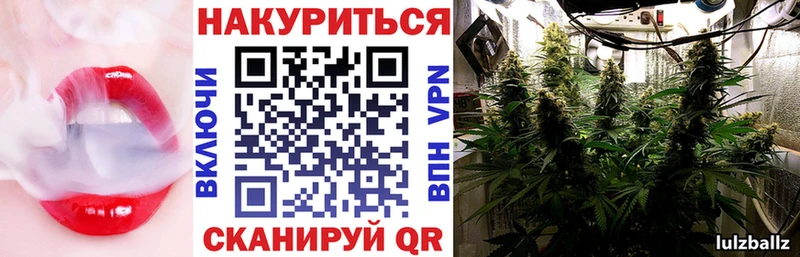 Канабис индика  Тбилисская 